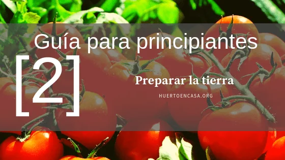 Cultivo de Tomates_ Preparar la tierra [2]