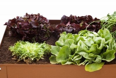 Mesa de cultivo