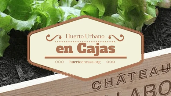 4 ideas para un Huerto Urbano en Cajas