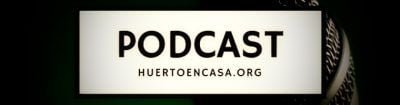 🎙️Podcast 3 Podcast