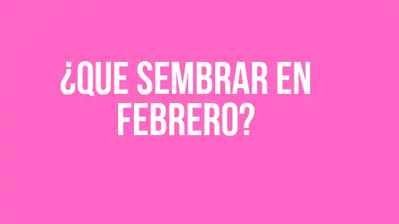 ¿Que sembrar en Febrero?