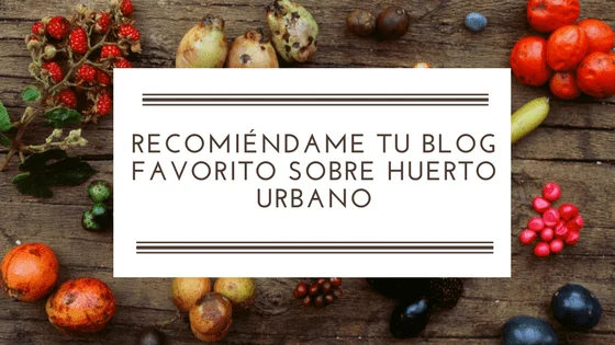 blog huerto urbano