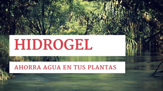 hidrogel