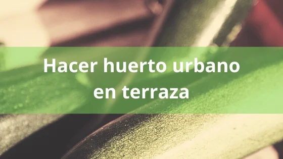 Hacer huerto urbano en terraza