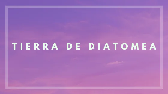 Tierra de diatomea