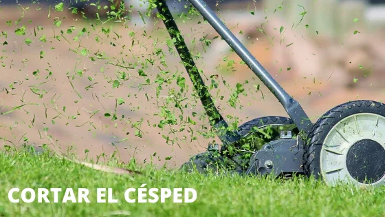 ¿Cómo cortar los bordes del césped? 2 ¿Cómo cortar los bordes del césped? 1