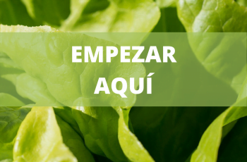 Empezar por aquí, para cultivar tus propias hortalizas 1 empezar el huerto aquí