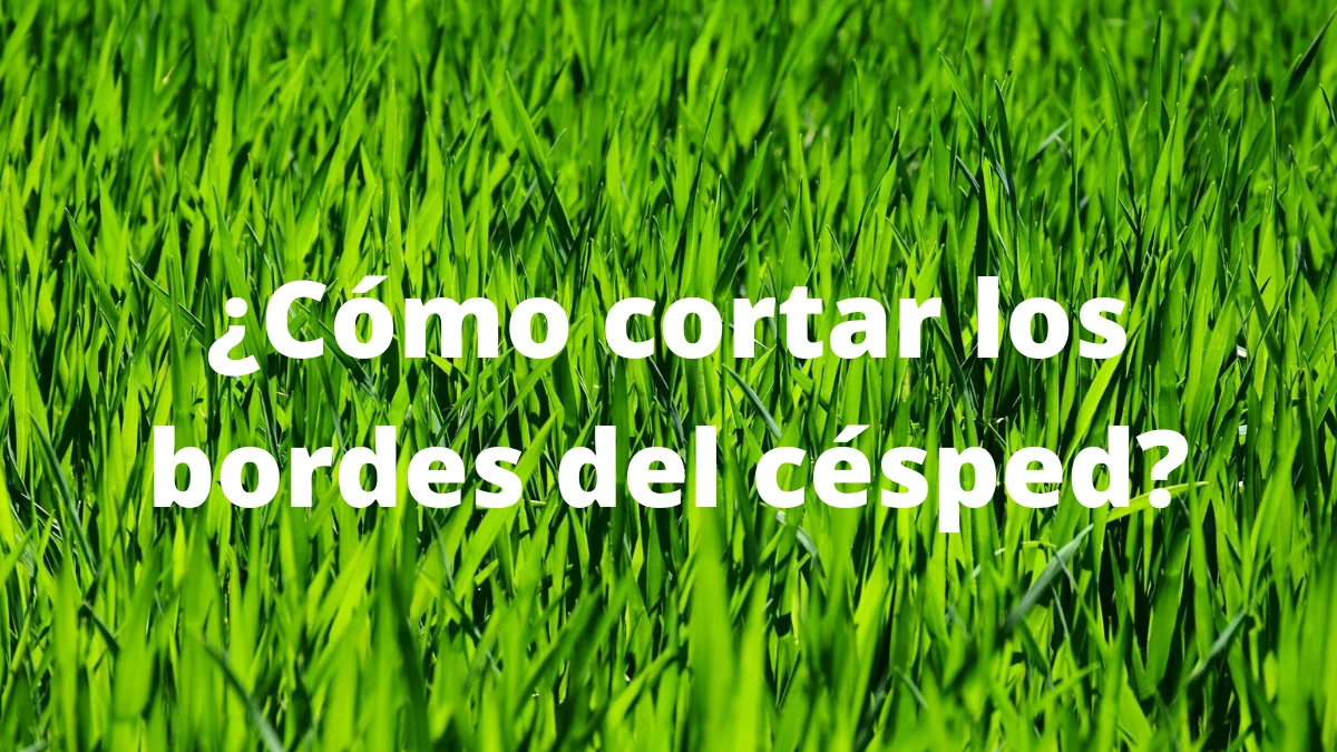 ¿Cómo cortar los bordes del césped? 1 ¿Cómo cortar los bordes del césped?