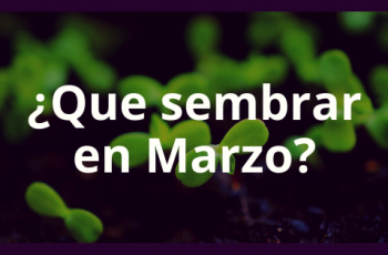 ¿Que sembrar en Marzo?