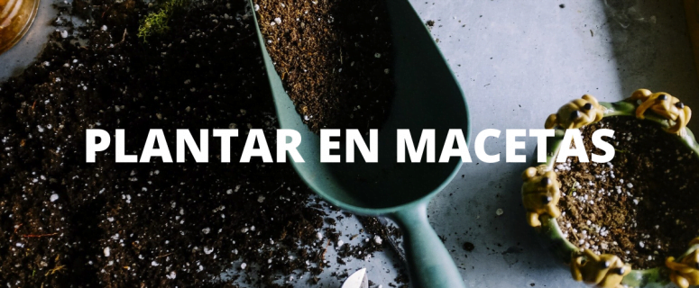 plantar en macetas