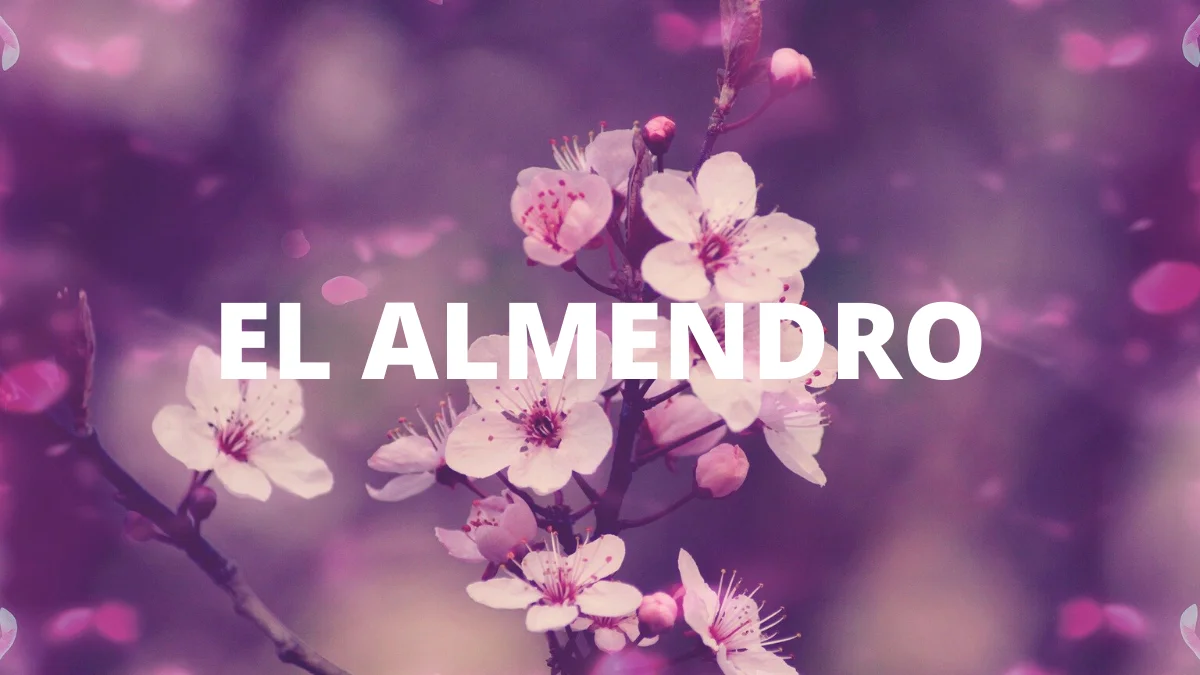 El Almendro