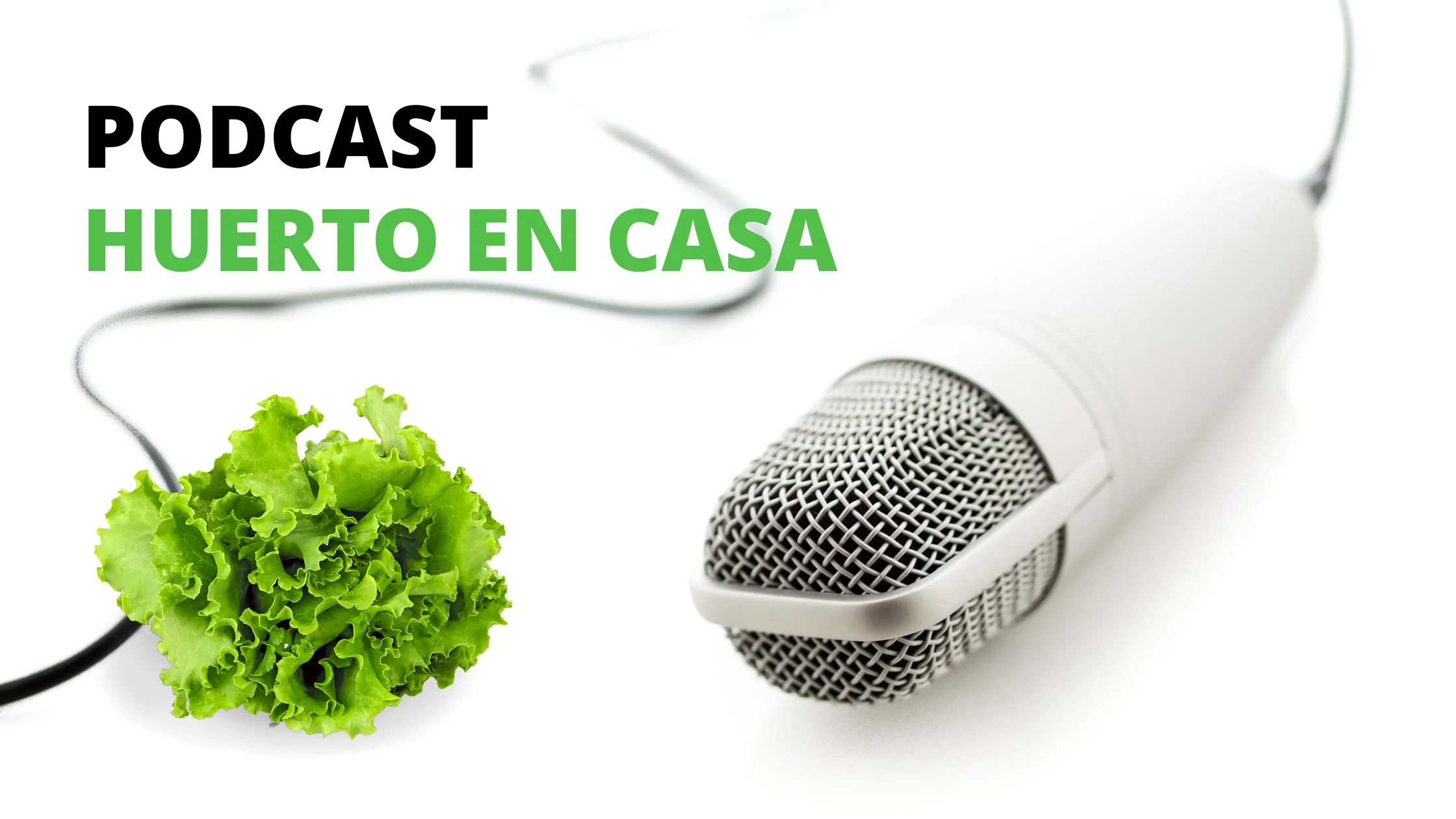 2. Objetivos para montar un huerto urbano 3 PODCAST HUERTO