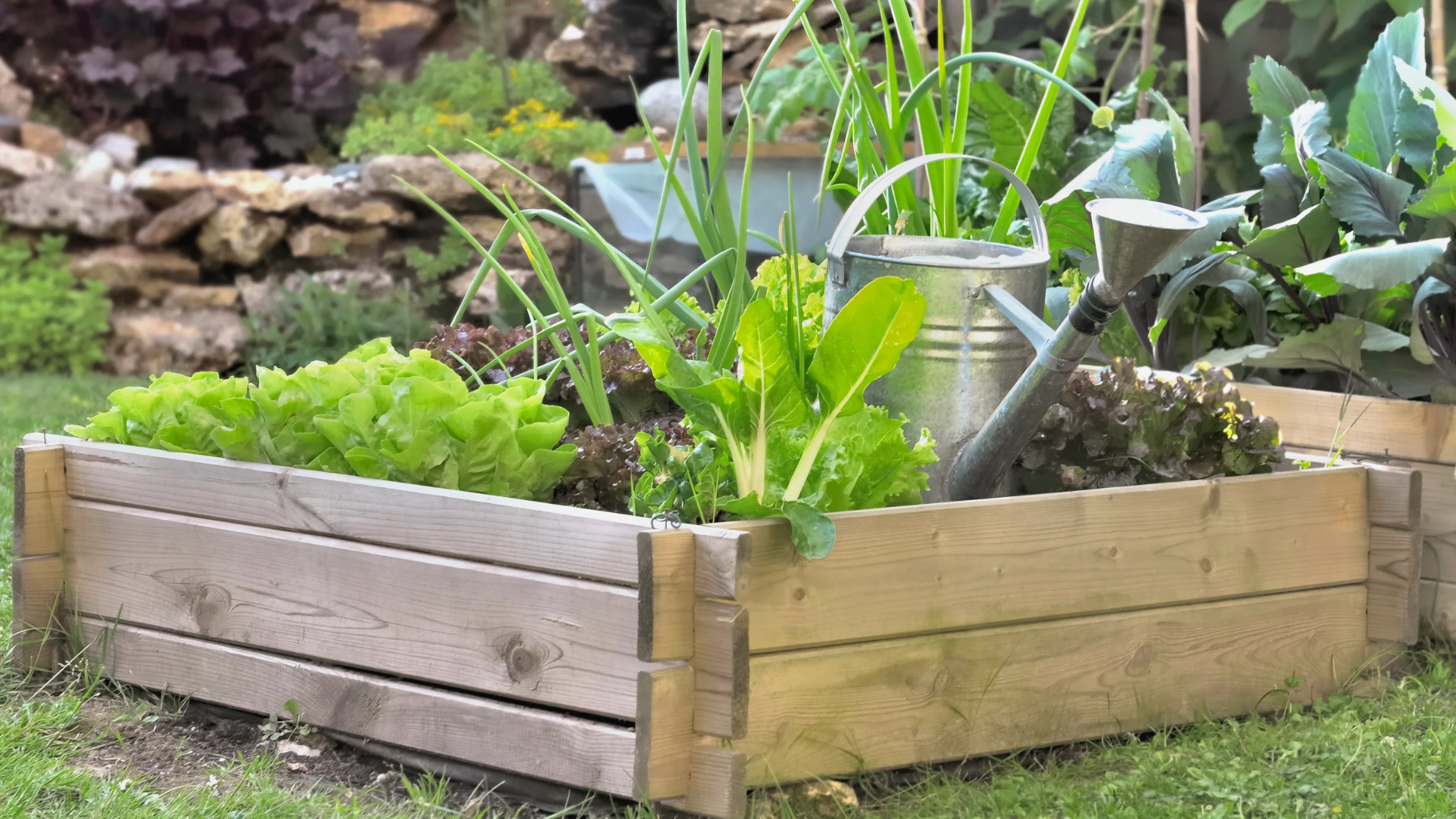 Los mejores fertilizantes naturales para tu huerto ecológico 6 Fertilizantes naturales