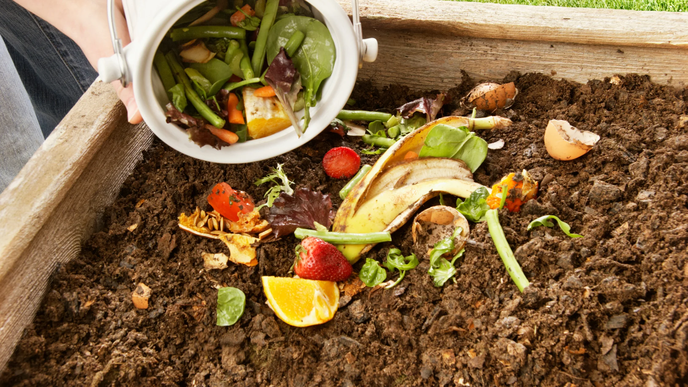 Los mejores fertilizantes naturales para tu huerto ecológico 1