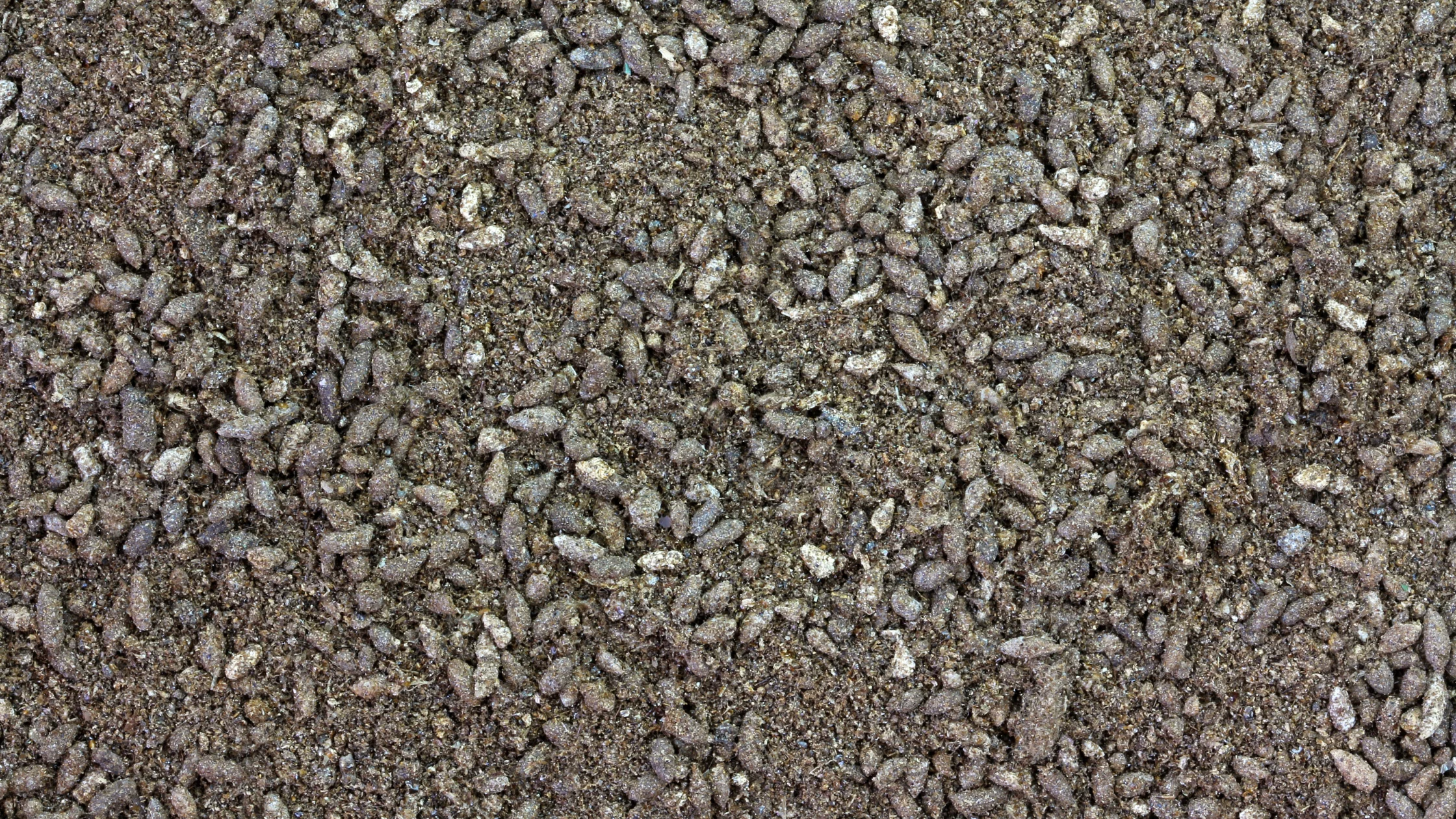Los mejores fertilizantes naturales para tu huerto ecológico 4