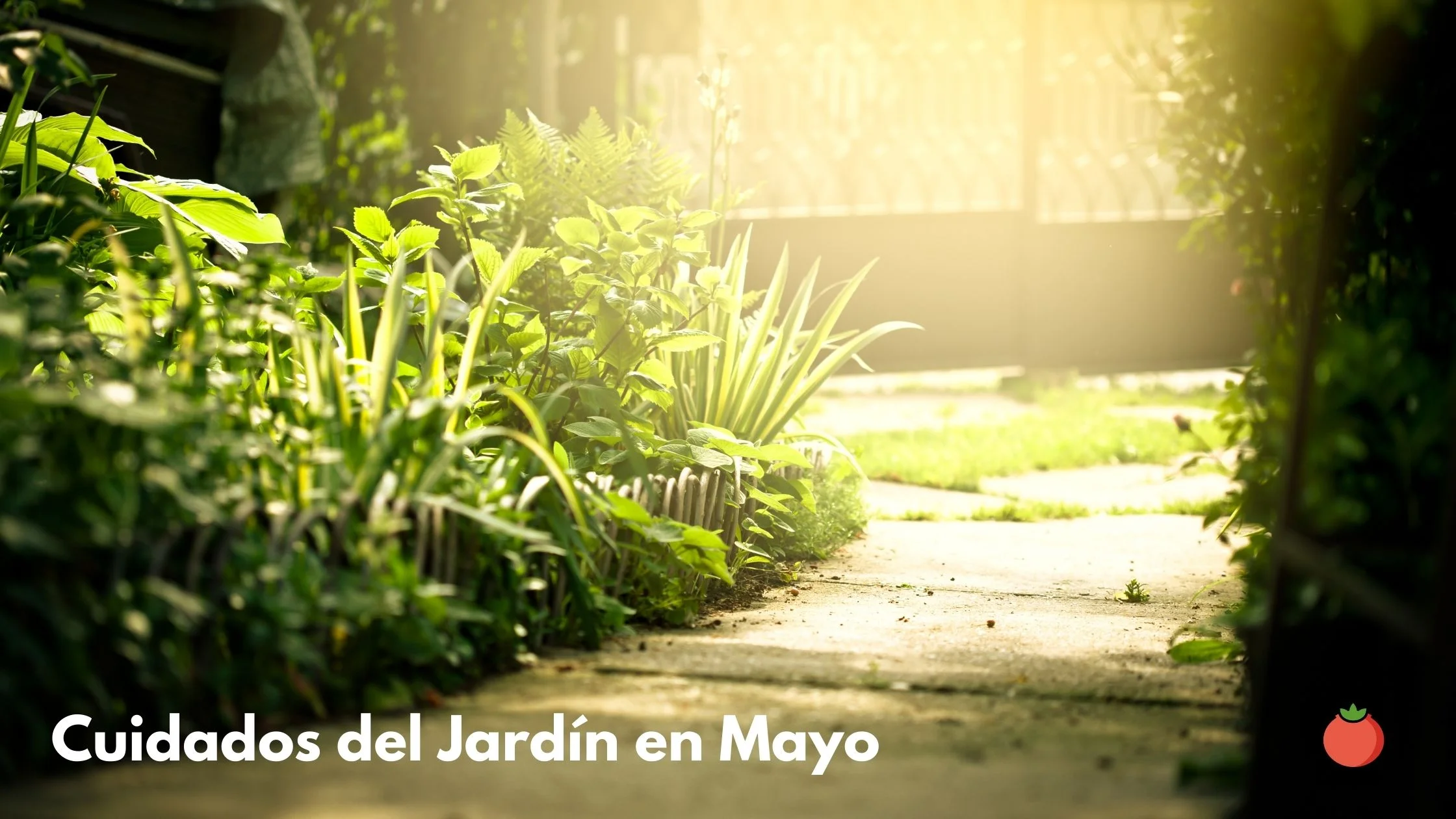 Cuidados del Jardín en Mayo