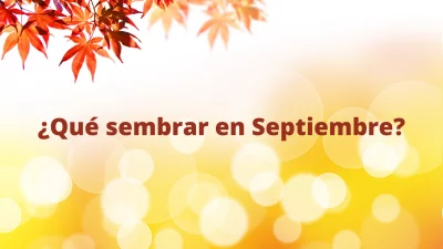 ¿Qué sembrar en Septiembre? 3