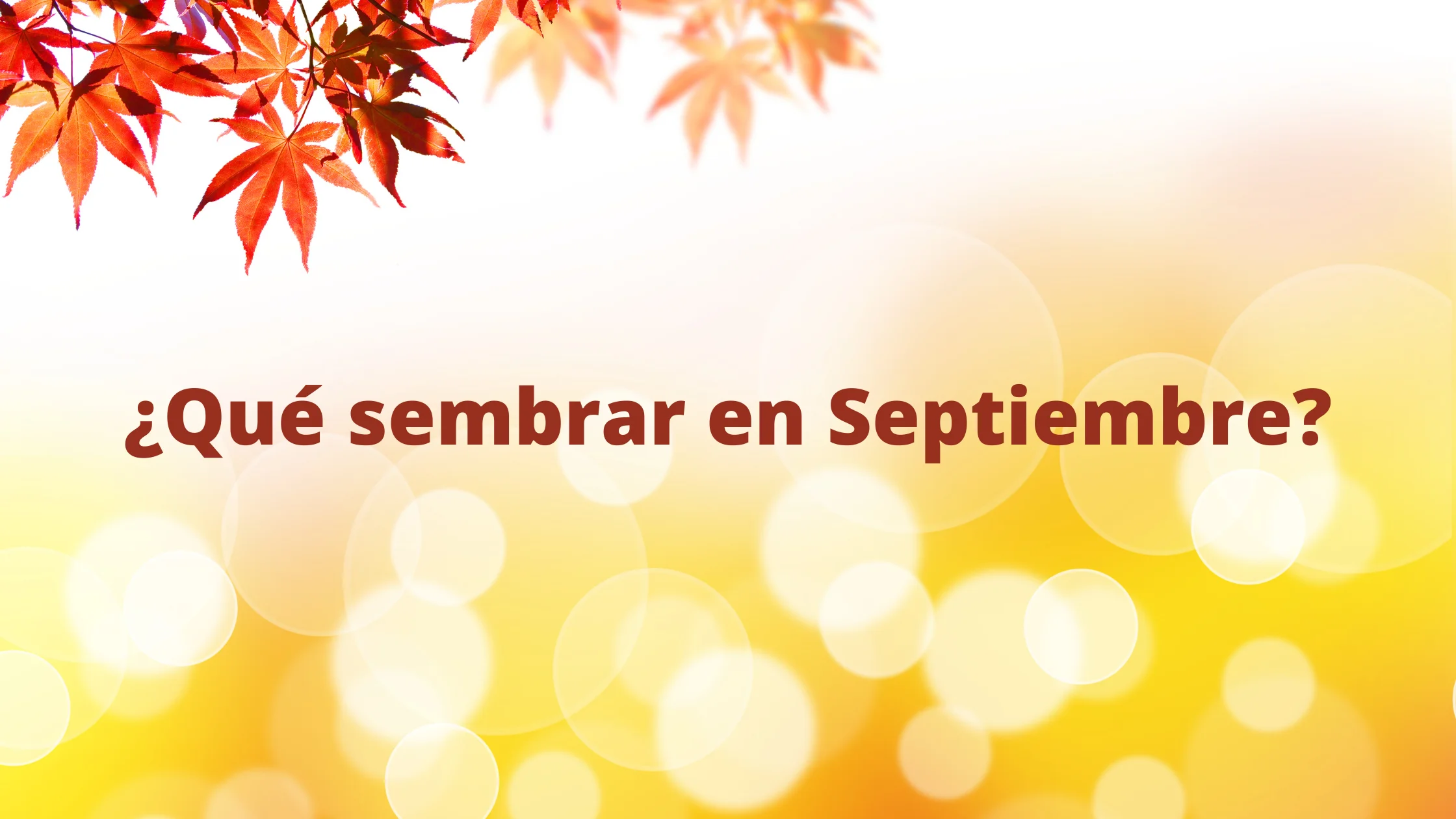 ¿Qué sembrar en Septiembre