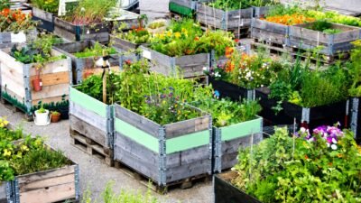 Las mejores plantas para tu huerto urbano