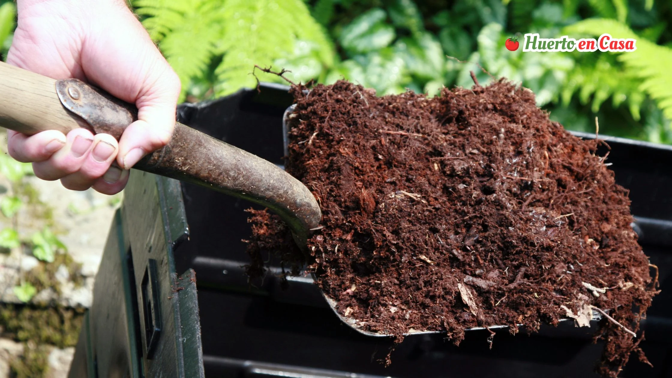 Cómo manejar cucarachas en el compost