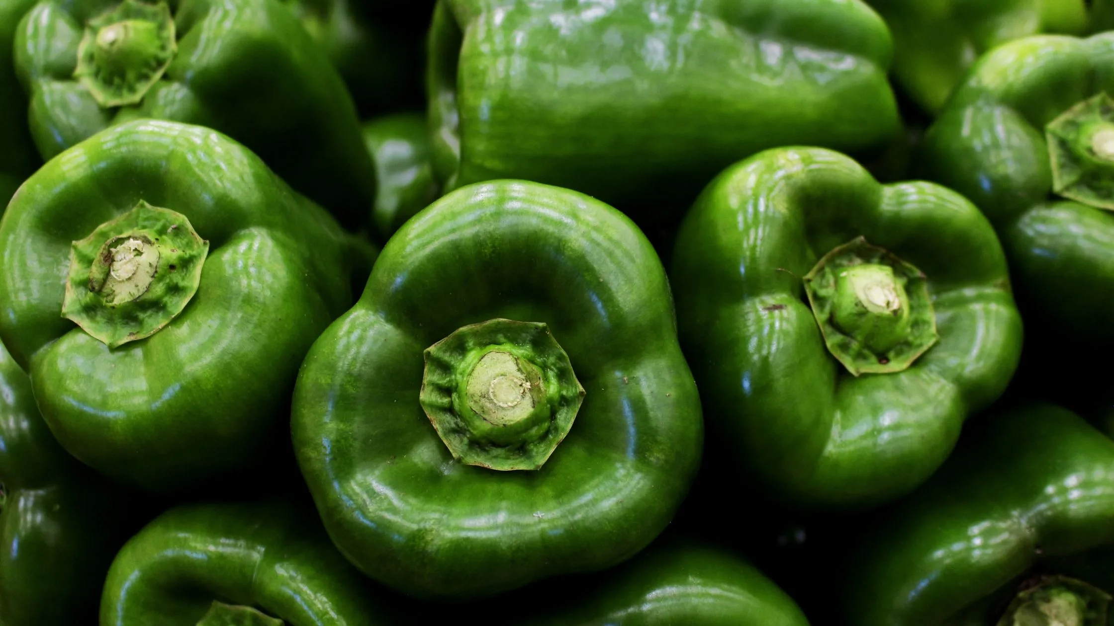 Cosecha de cultivos de verano tardíos (tomates, pimientos, berenjenas) 1