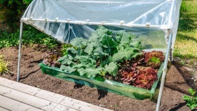 Productos Ecológicos para el Jardín