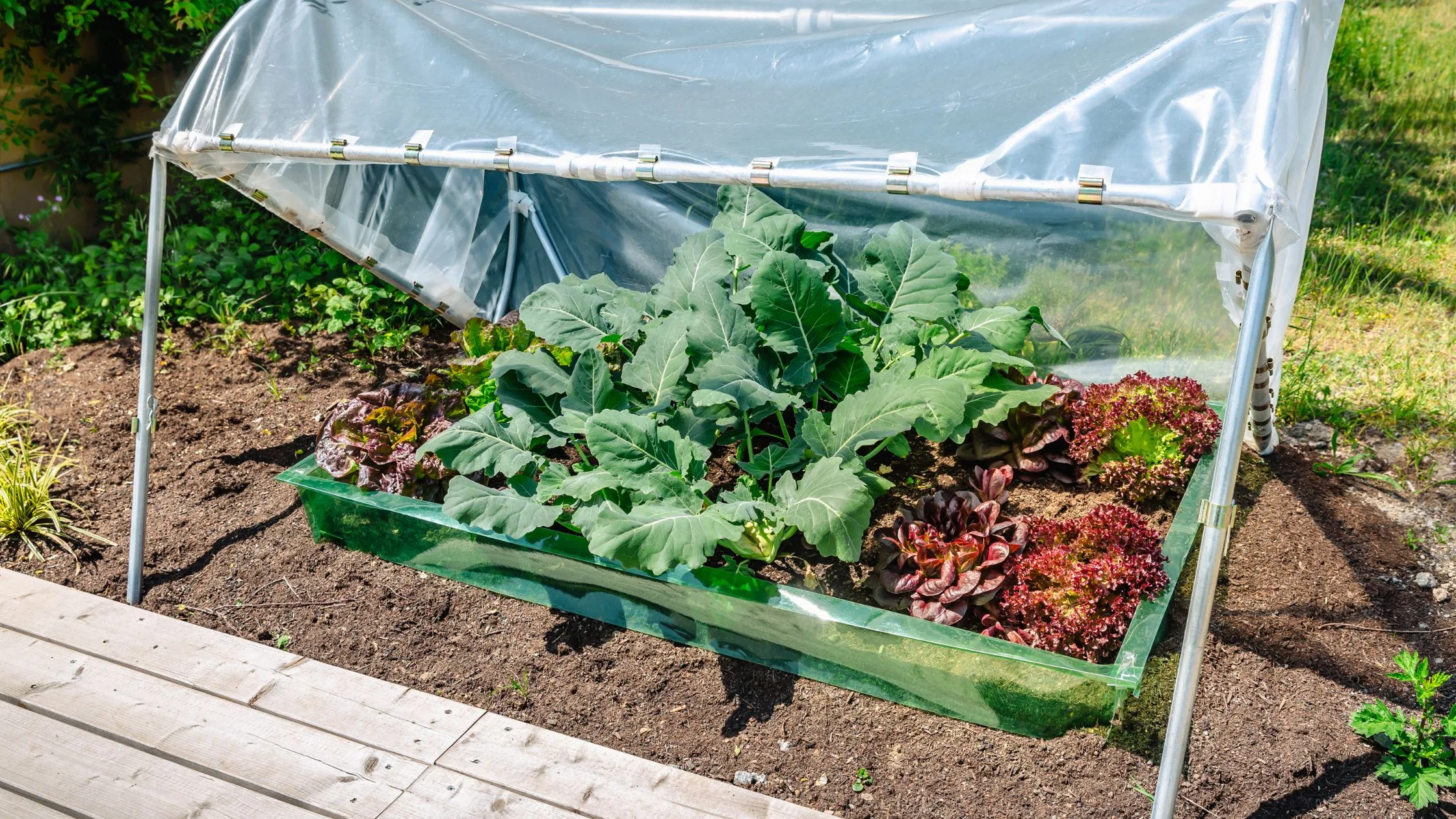 Productos Ecológicos para el Jardín