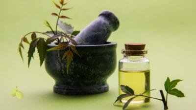 Uso del Aceite de Neem: Beneficios y Aplicaciones Prácticas 2