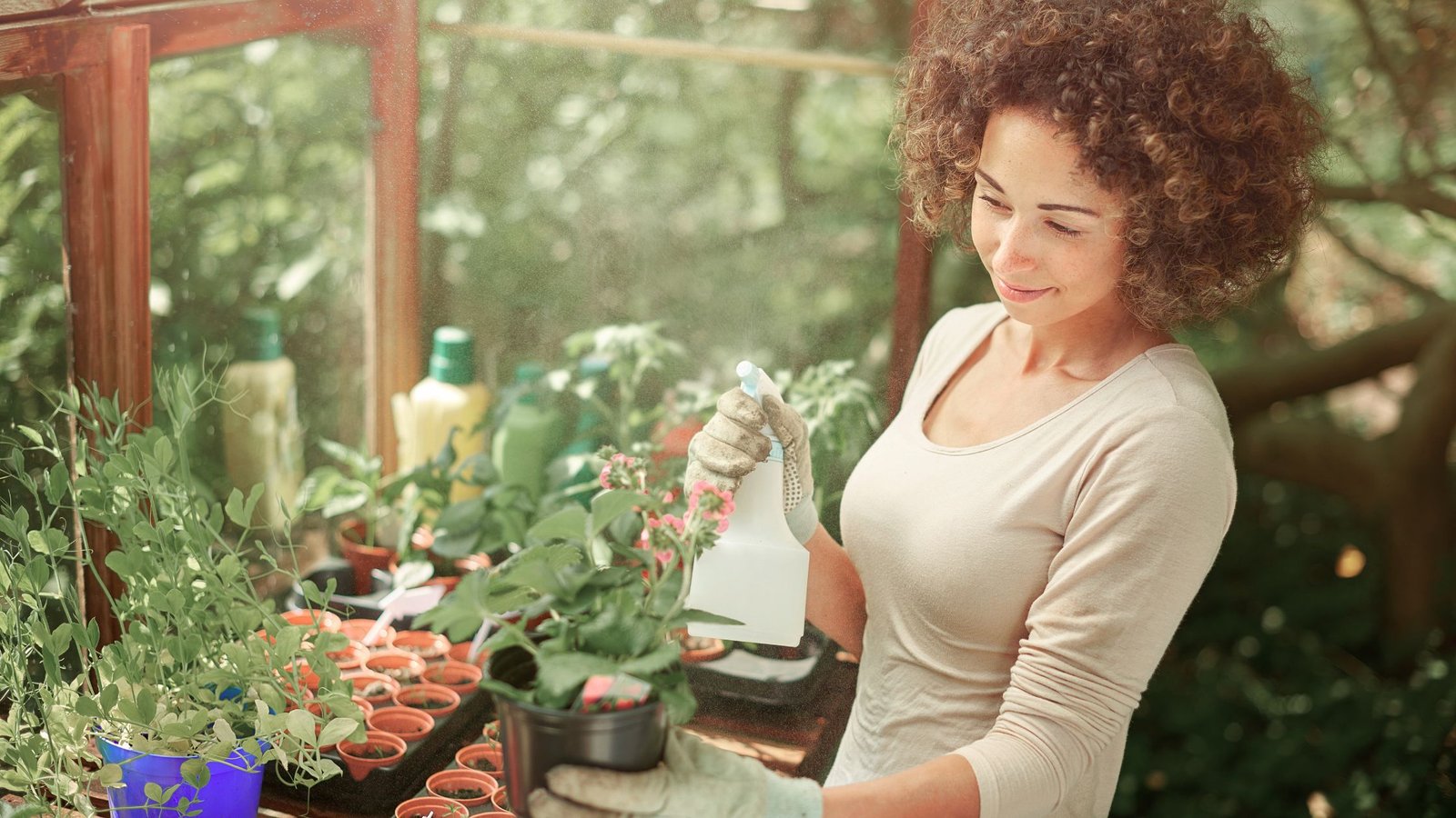 🌱 Cómo lograr la autosuficiencia en casa con tu huerto urbano