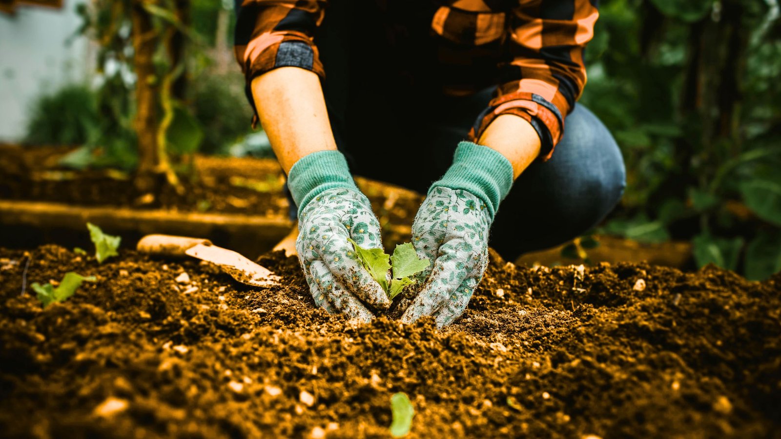 Qué plantar en octubre: guía por climas, tipos de siembra y nivel de dificultad