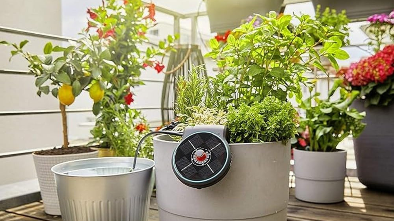 Los 3 Mejores Kits de Riego por Goteo para Balcones y Terrazas